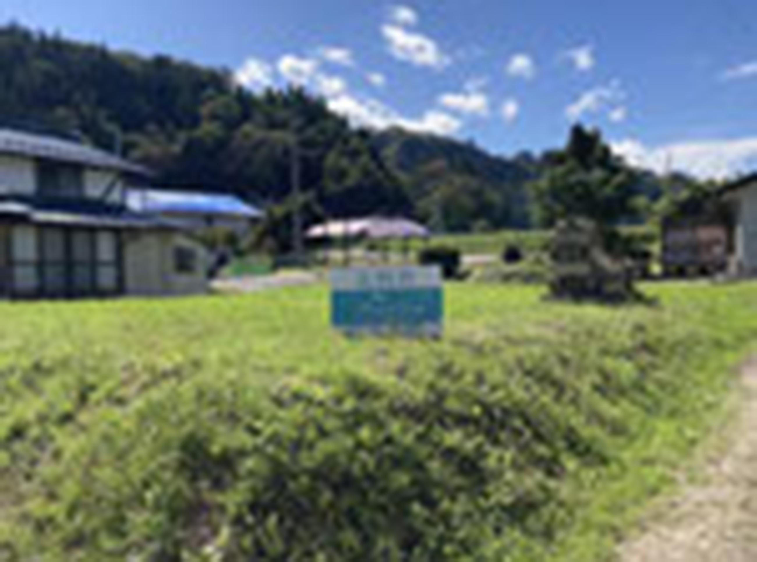 新着物件