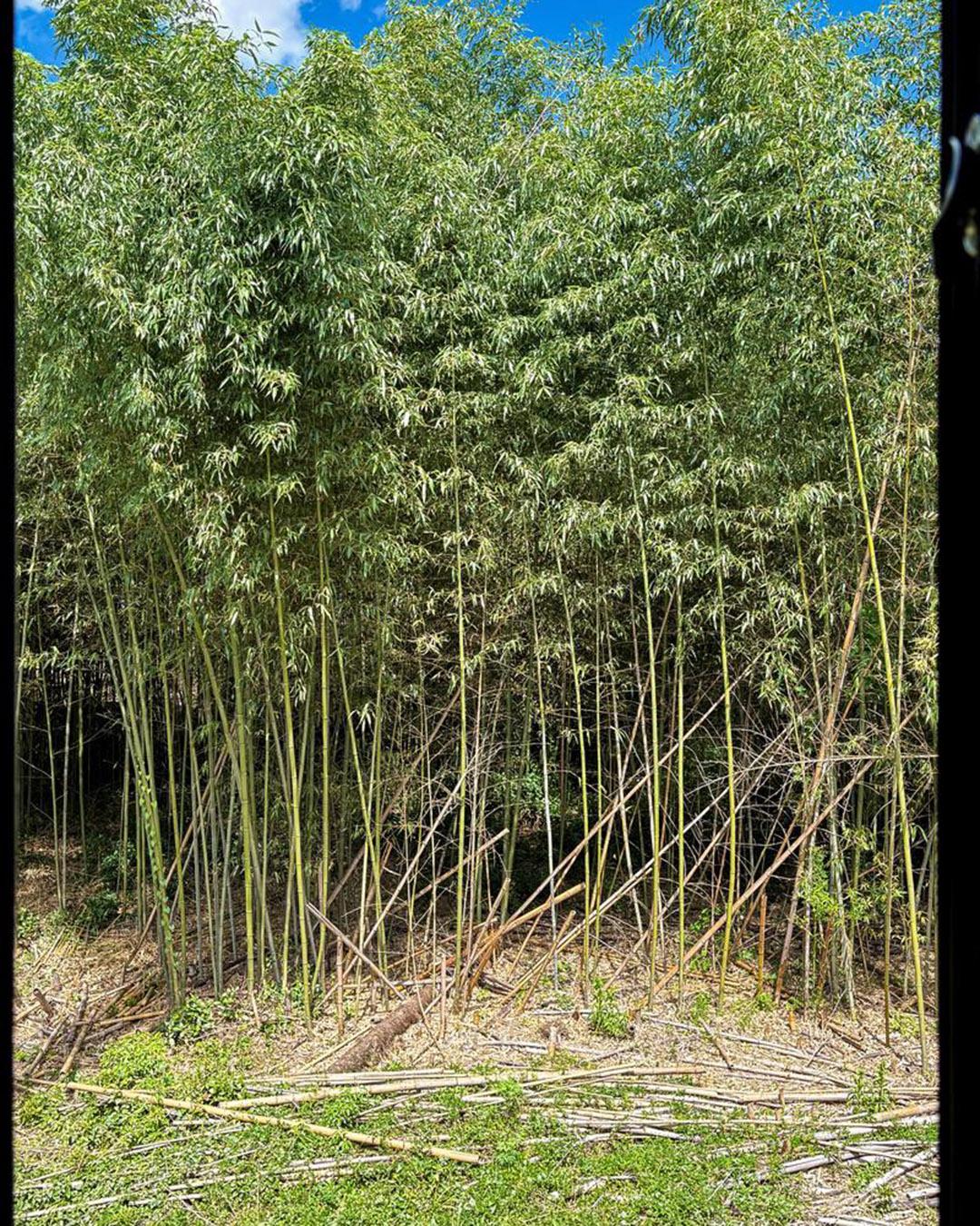 新着物件
