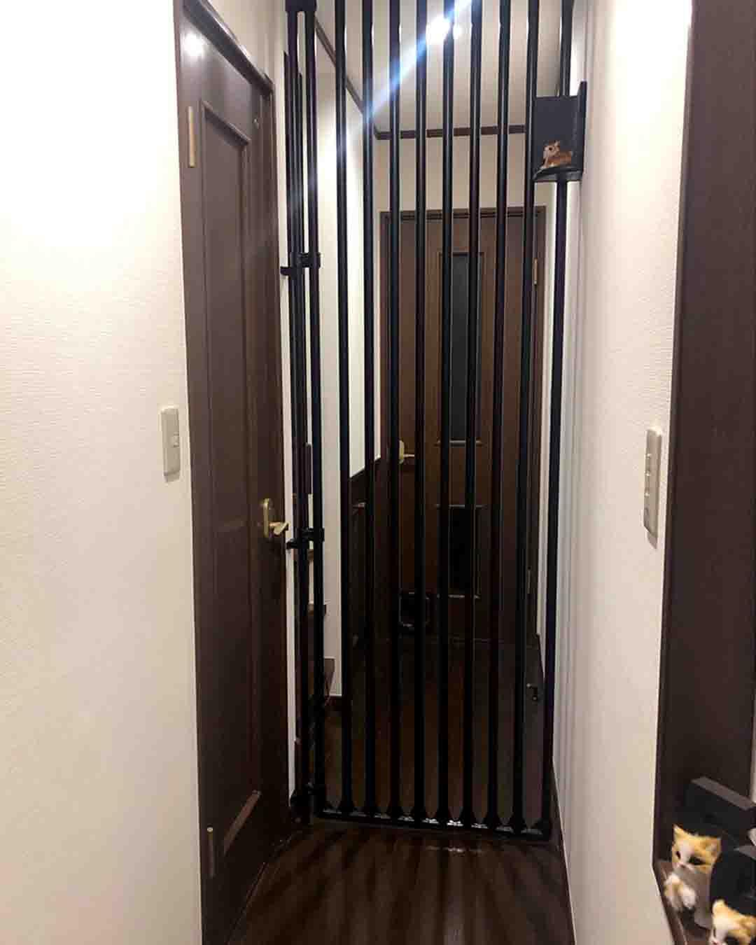 新着物件