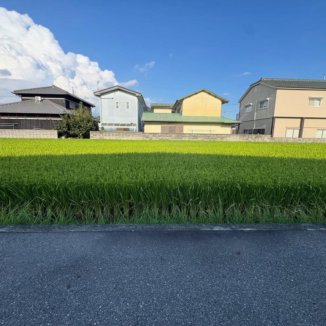 新着物件