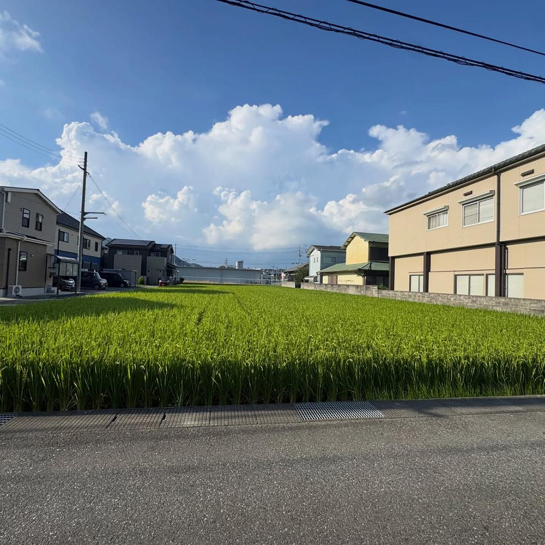 新着物件