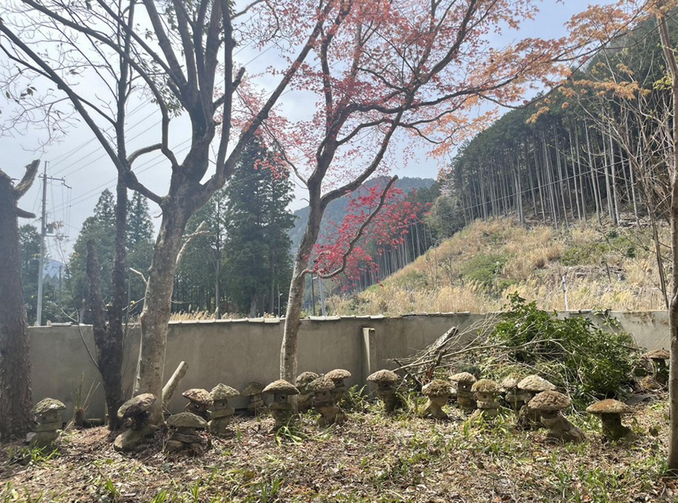 新着物件