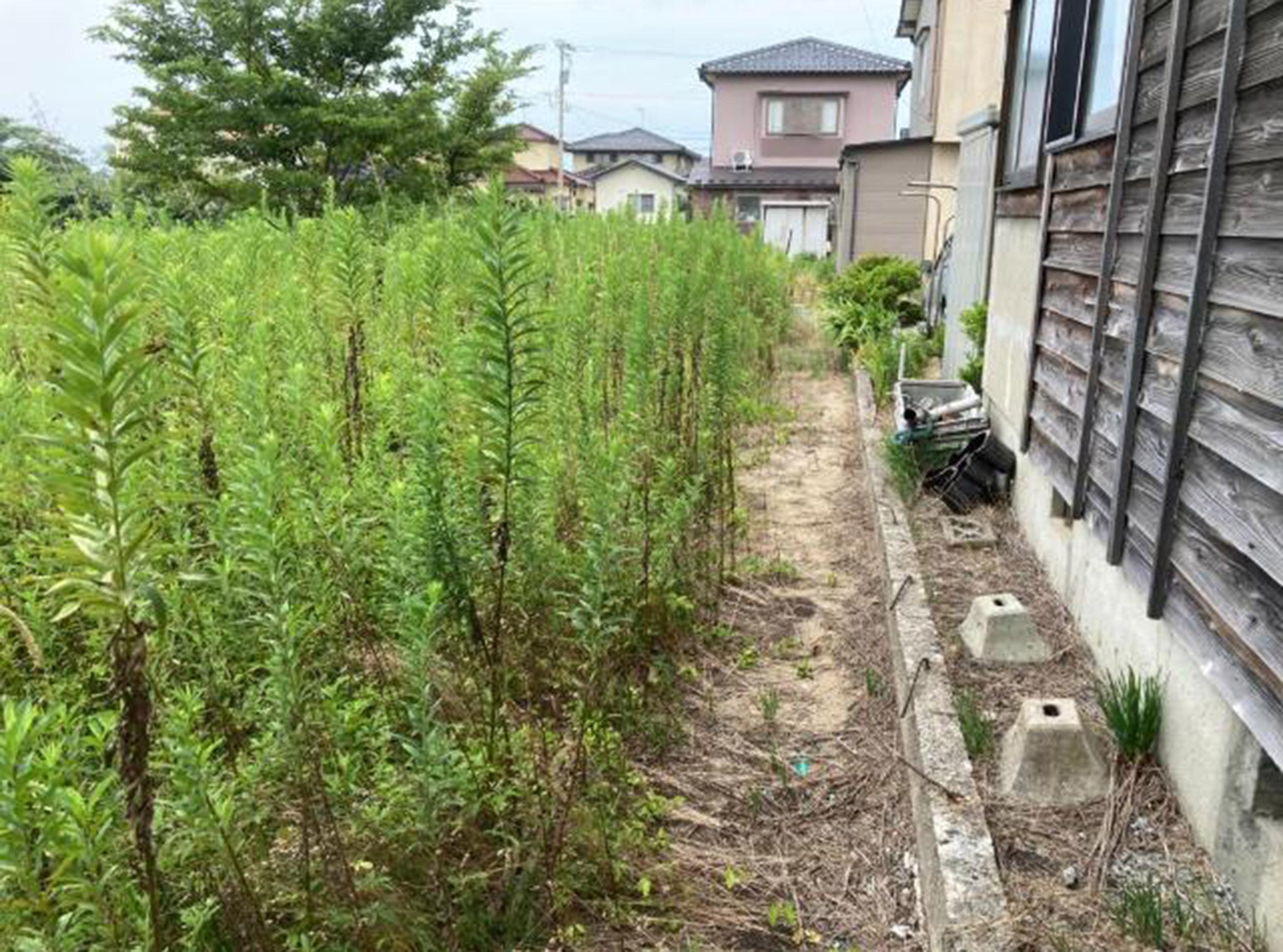 新着物件