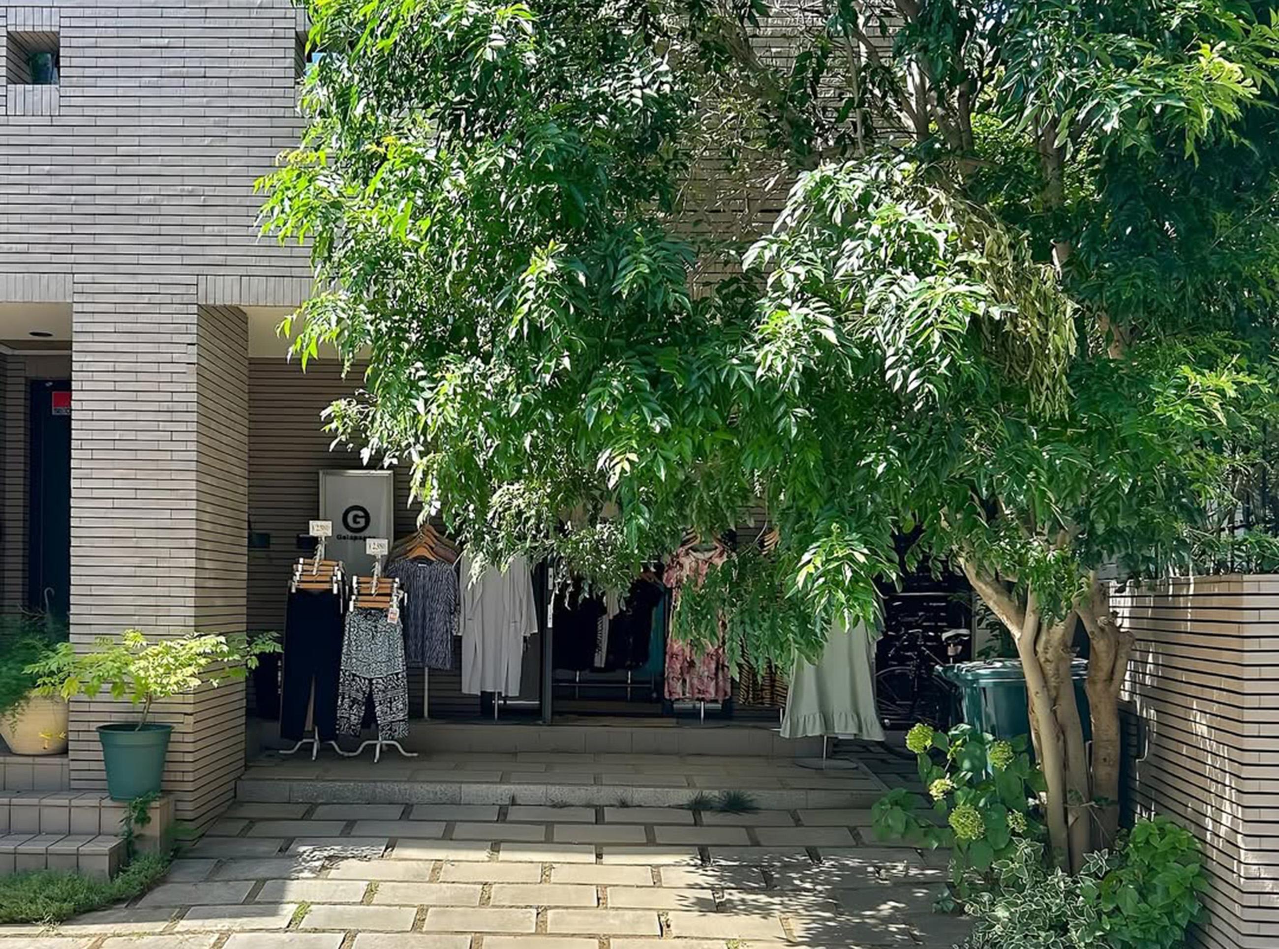 新着物件