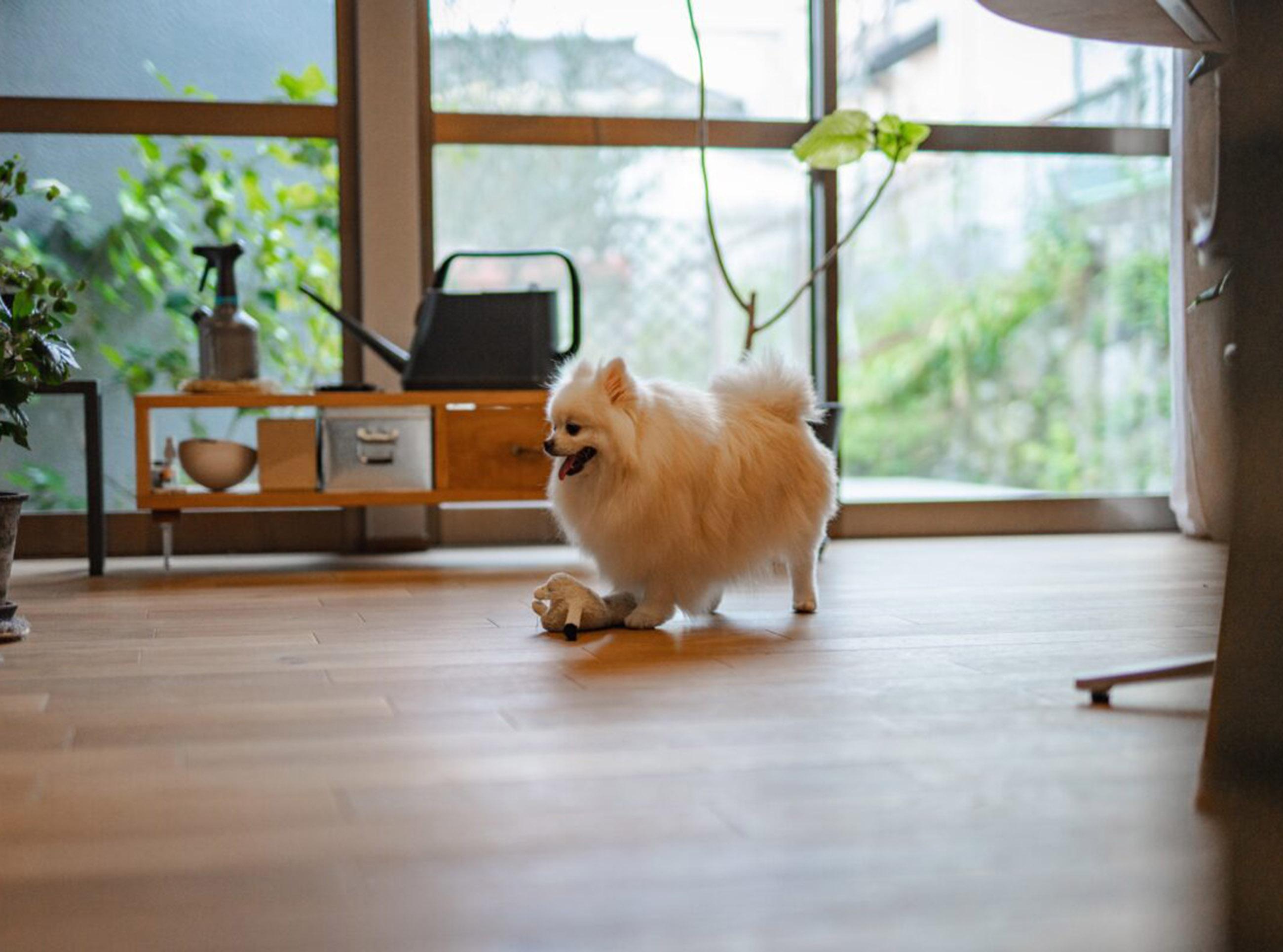 新着物件
