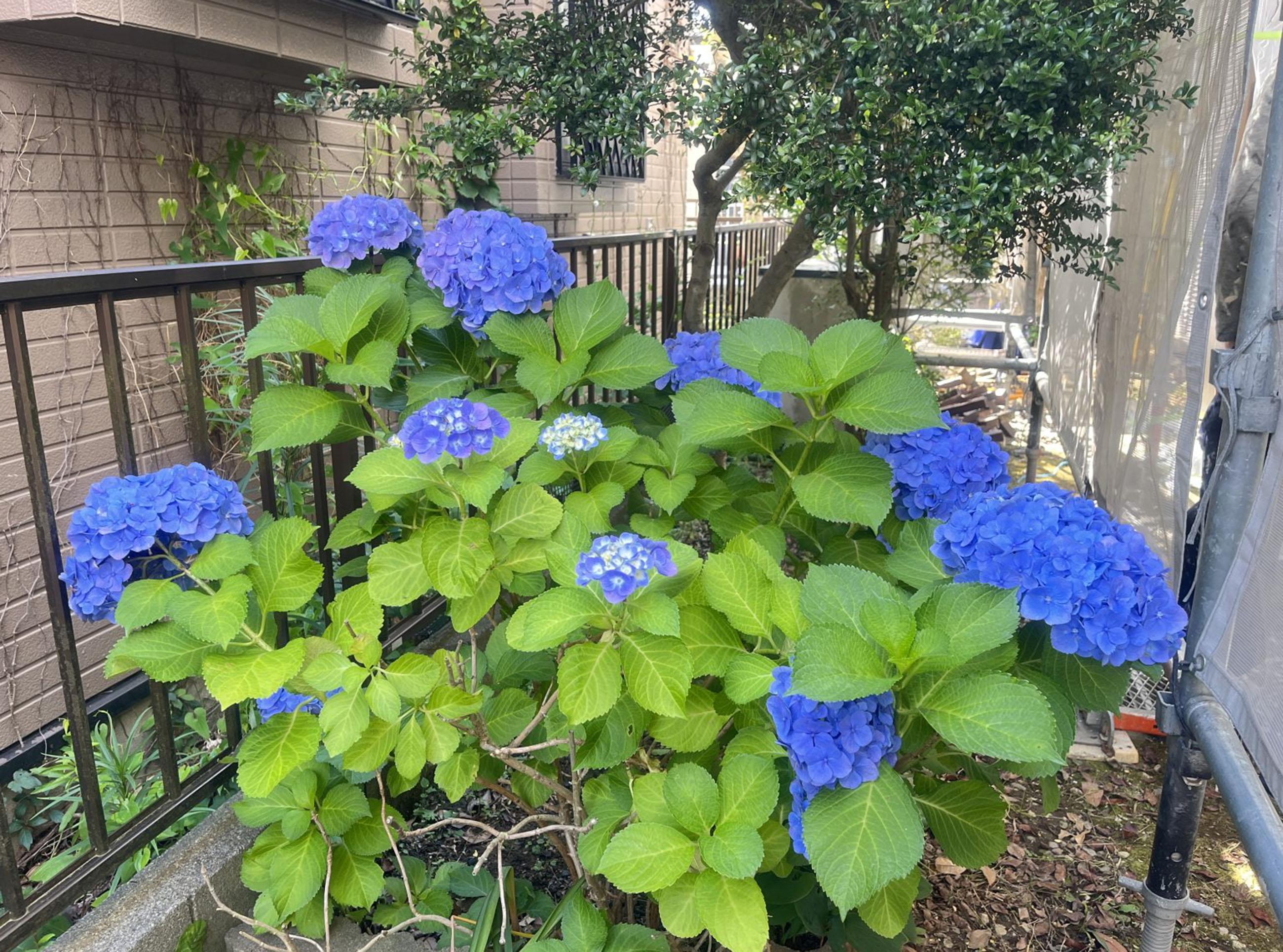 新着物件