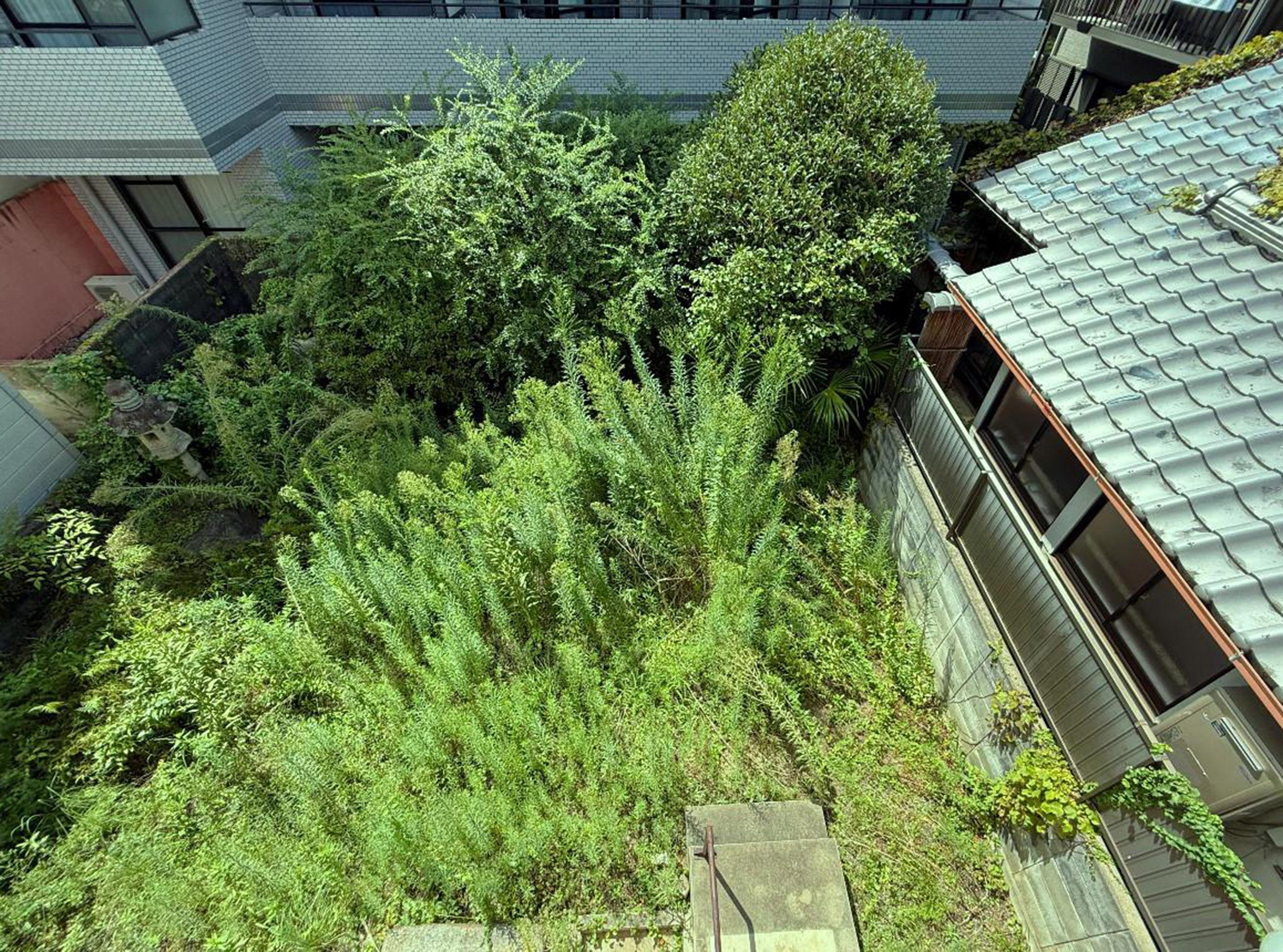 新着物件
