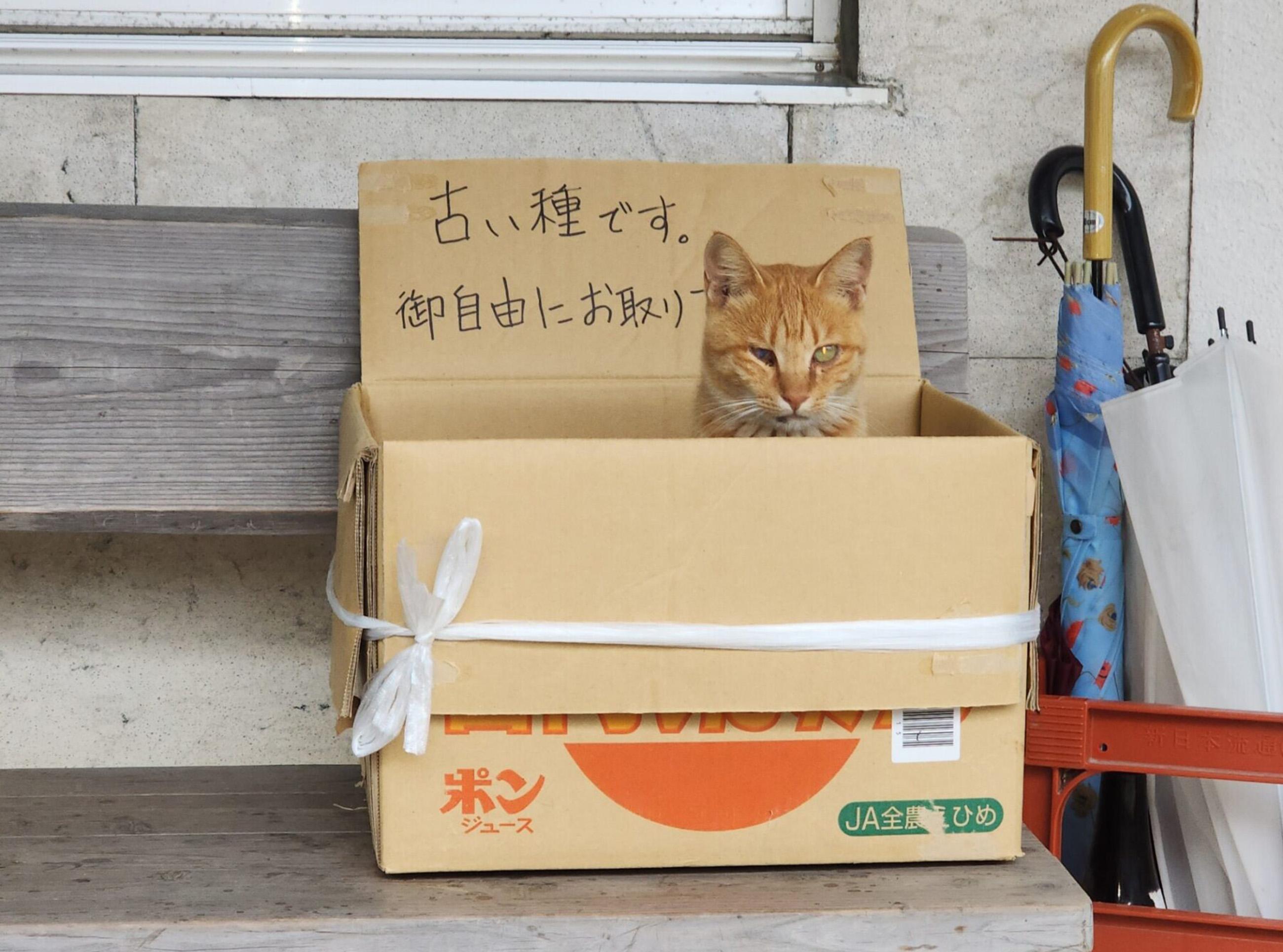 新着物件