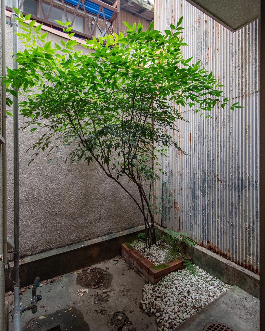 新着物件