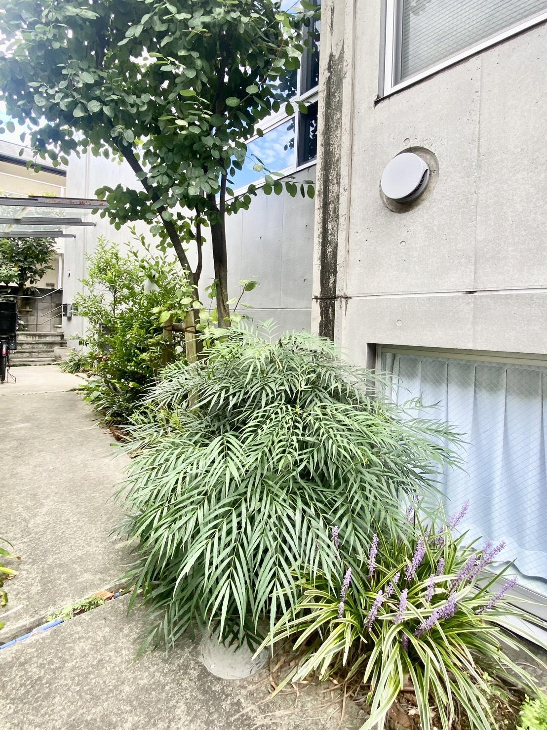 新着物件