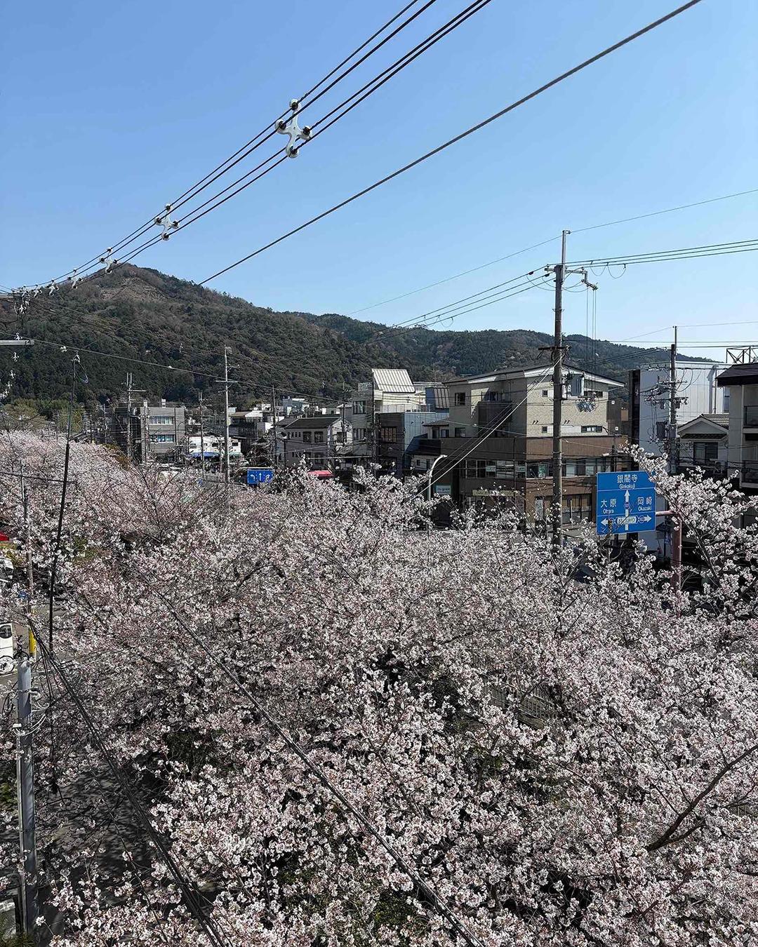 新着物件