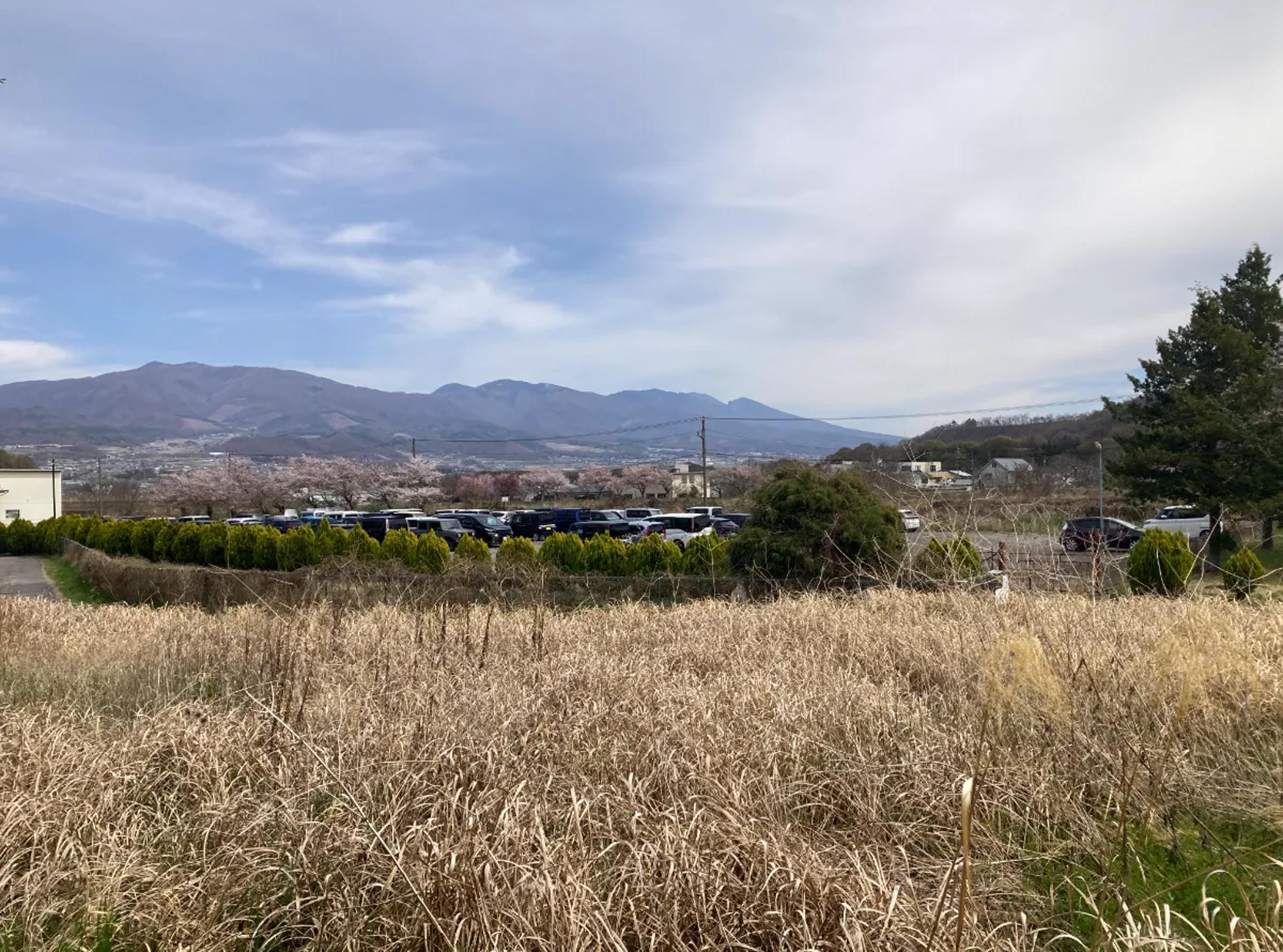 新着物件
