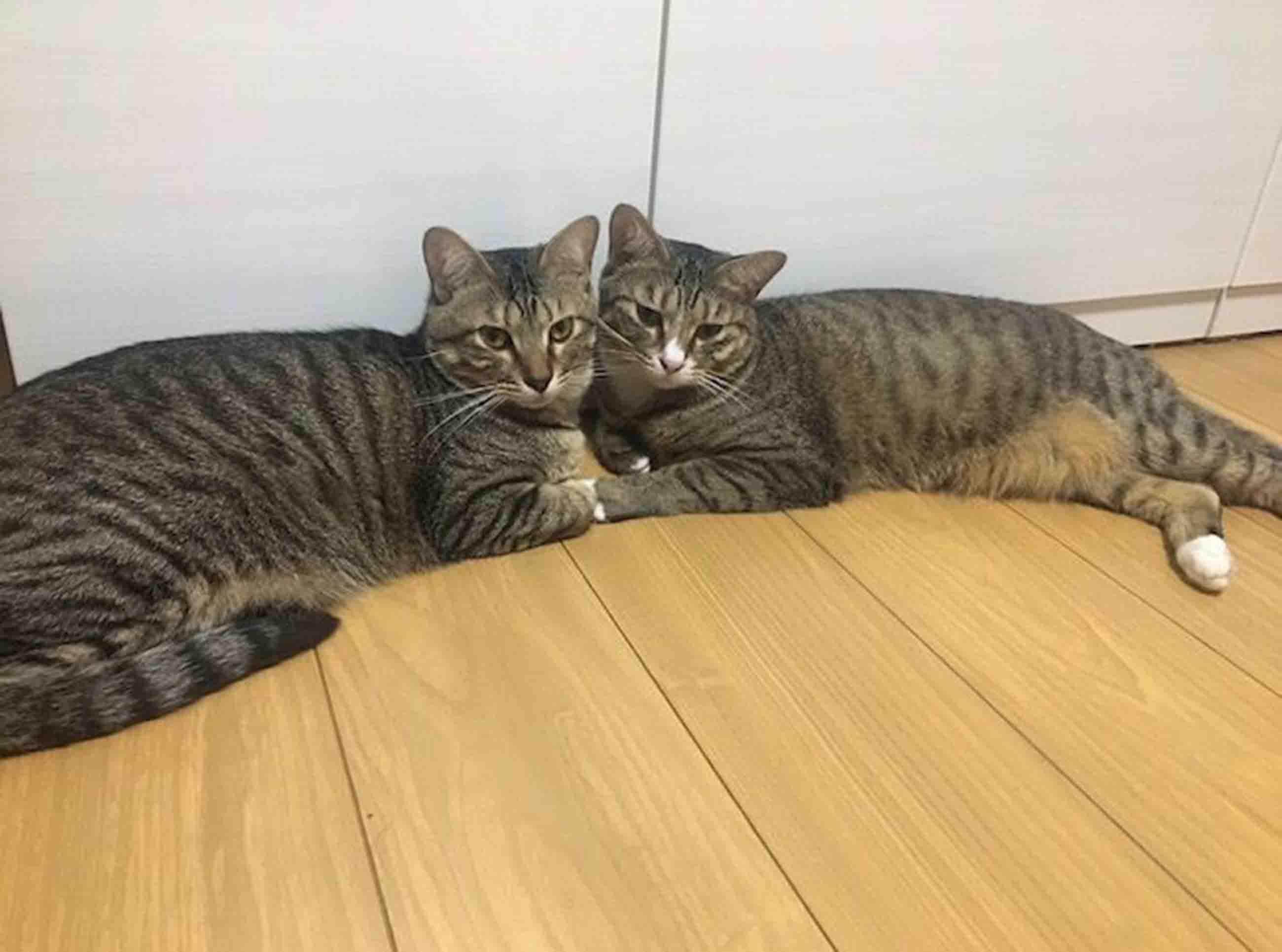 新着物件
