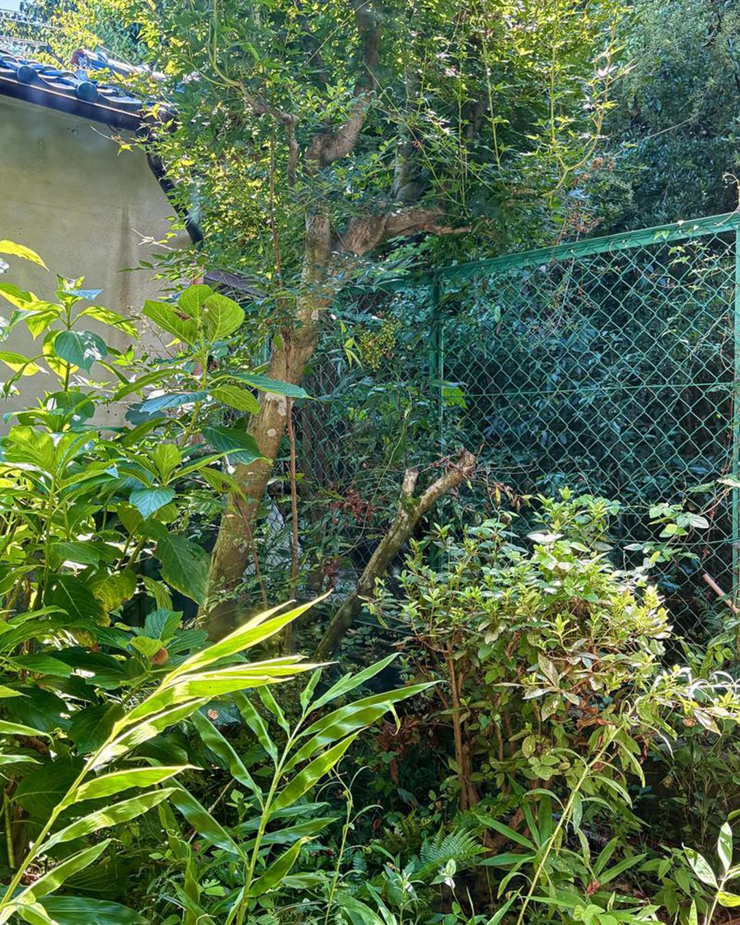 新着物件