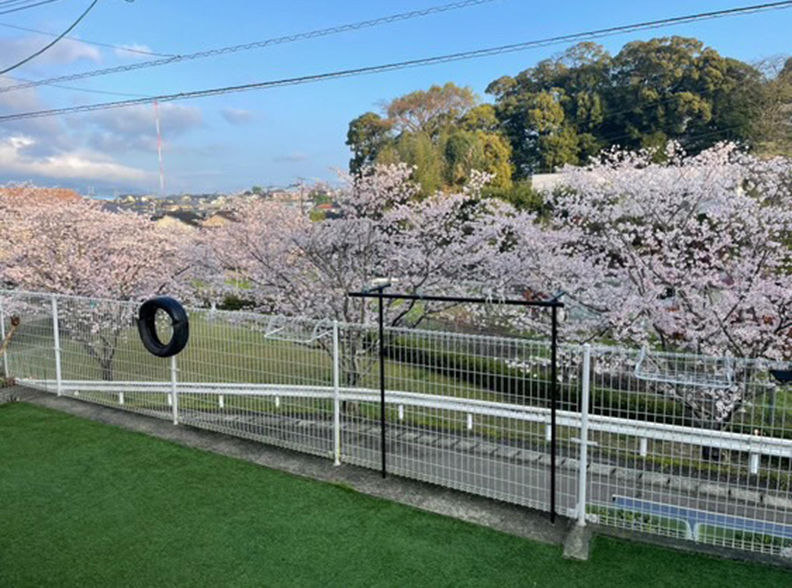 新着物件
