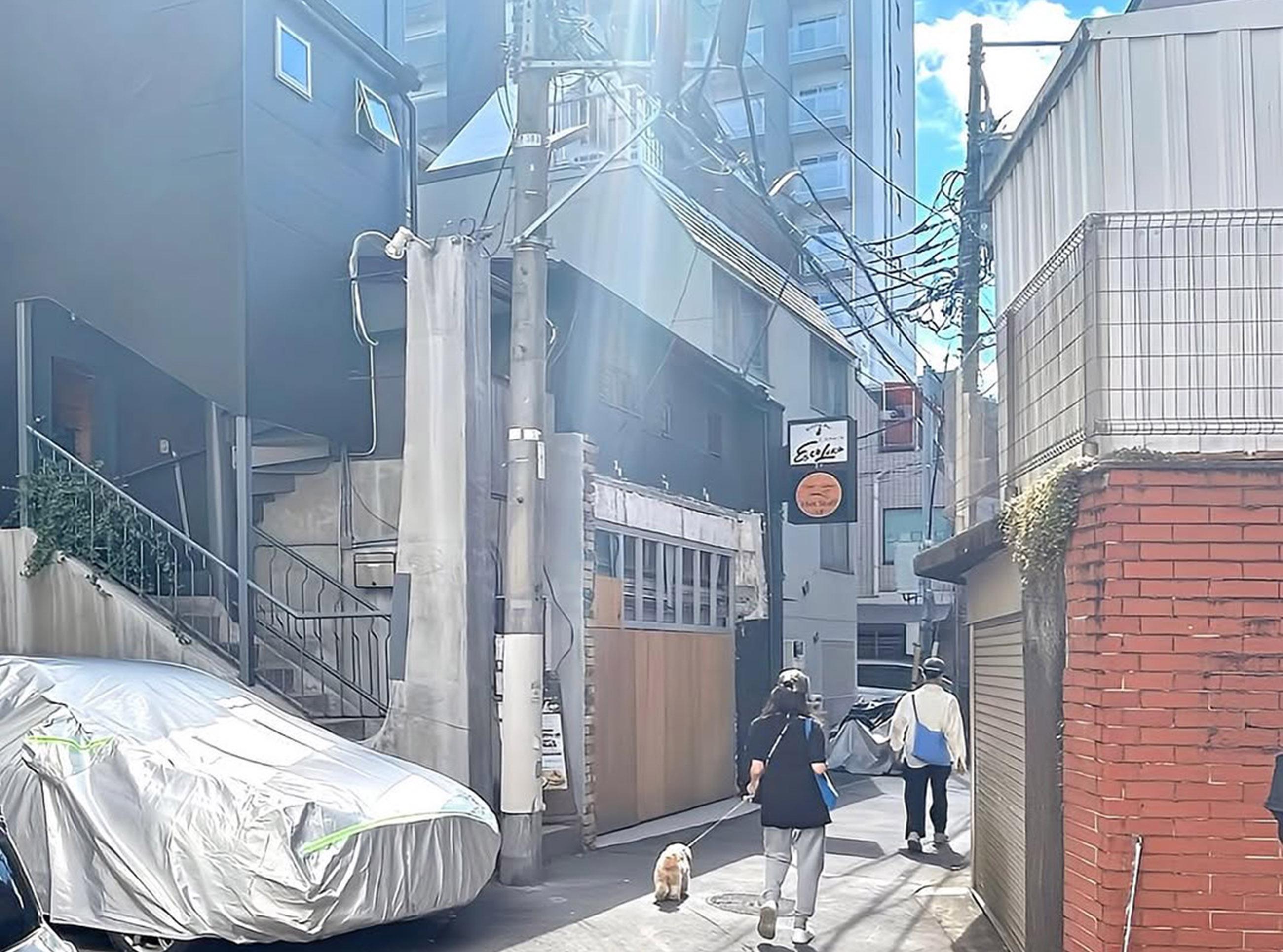 新着物件