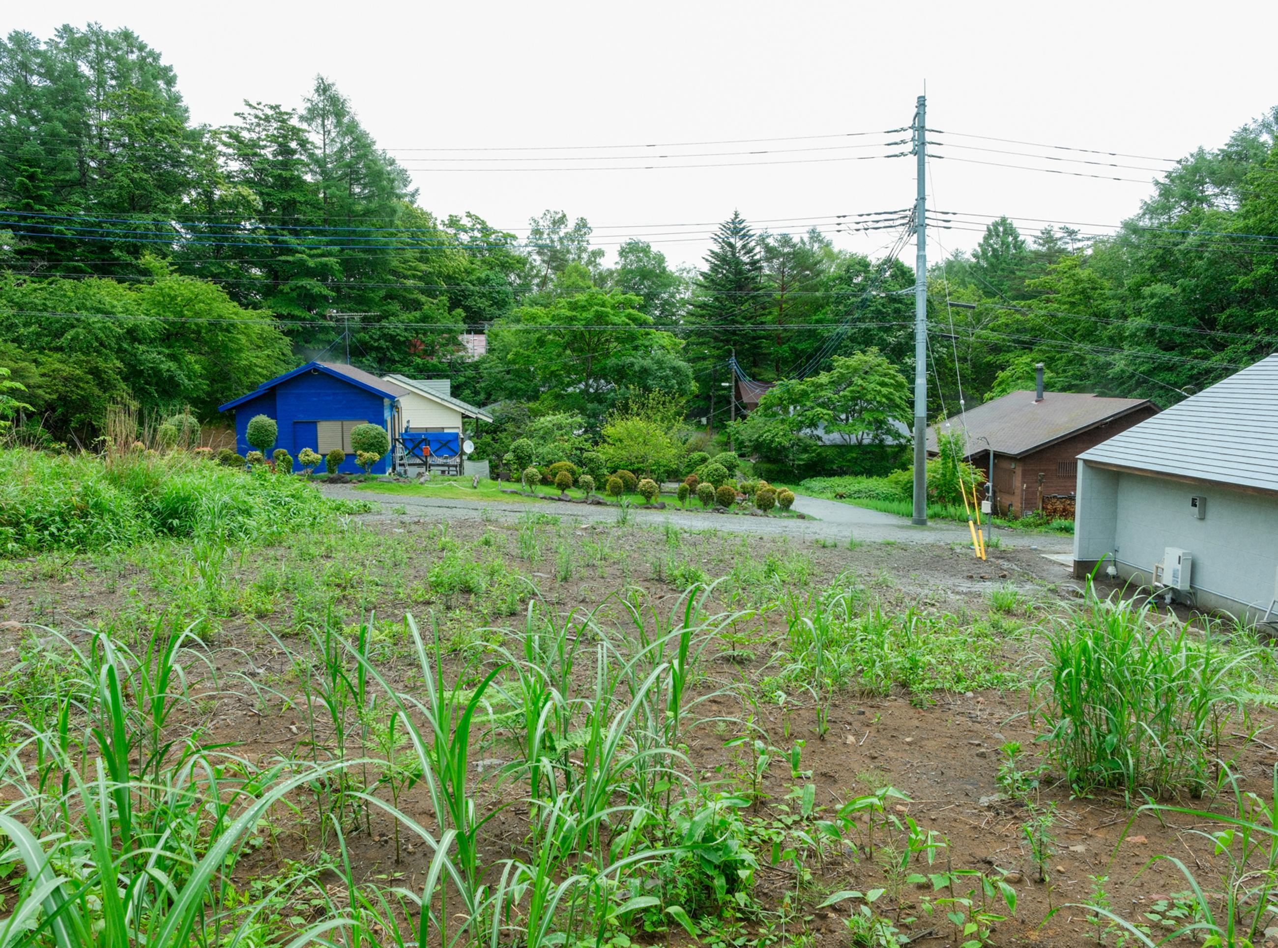 新着物件