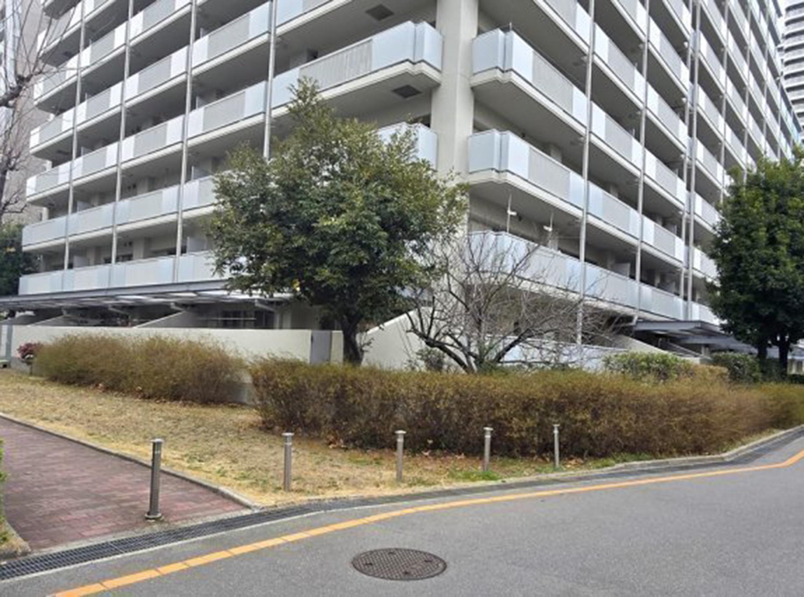 新着物件