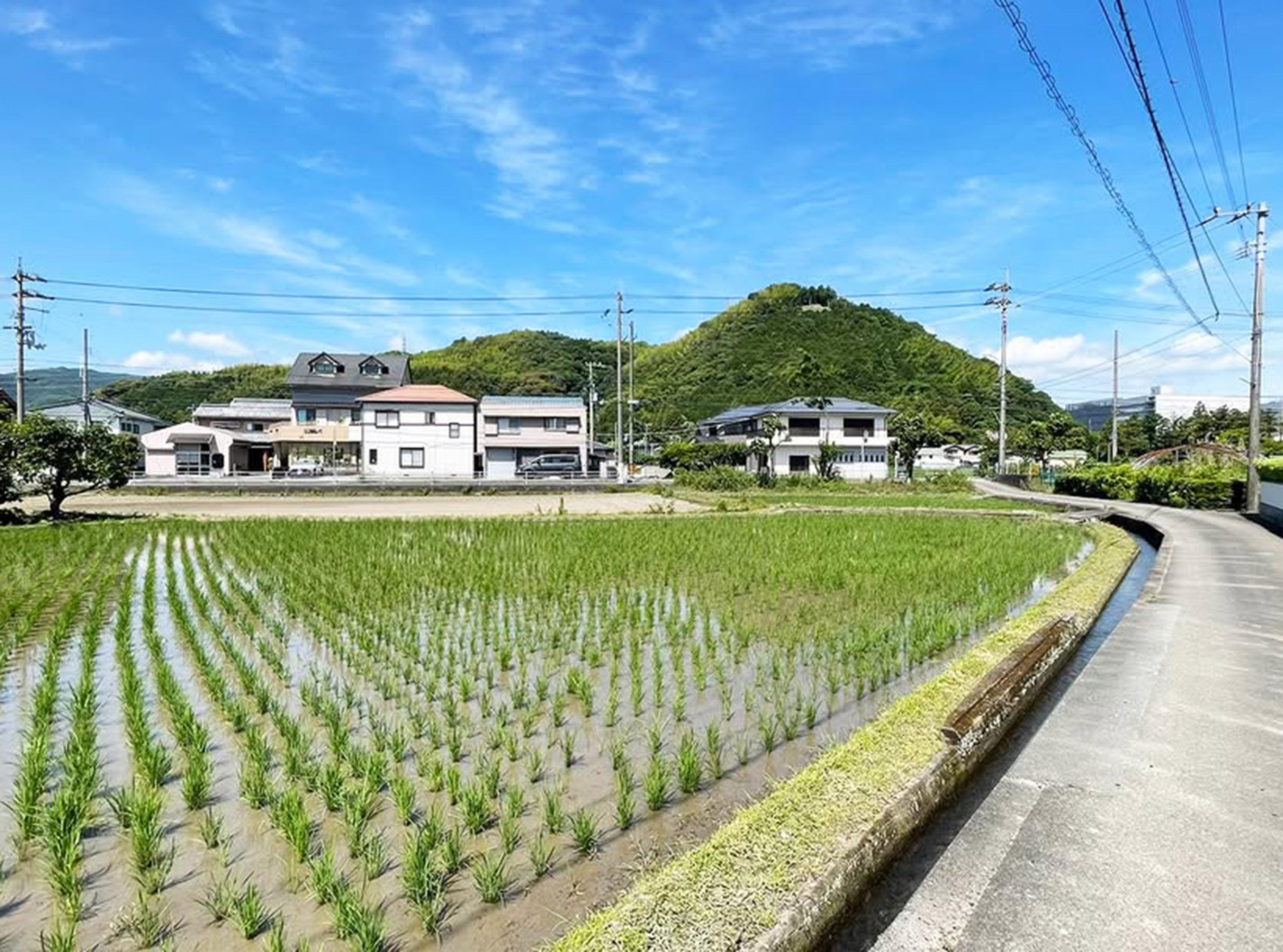 新着物件