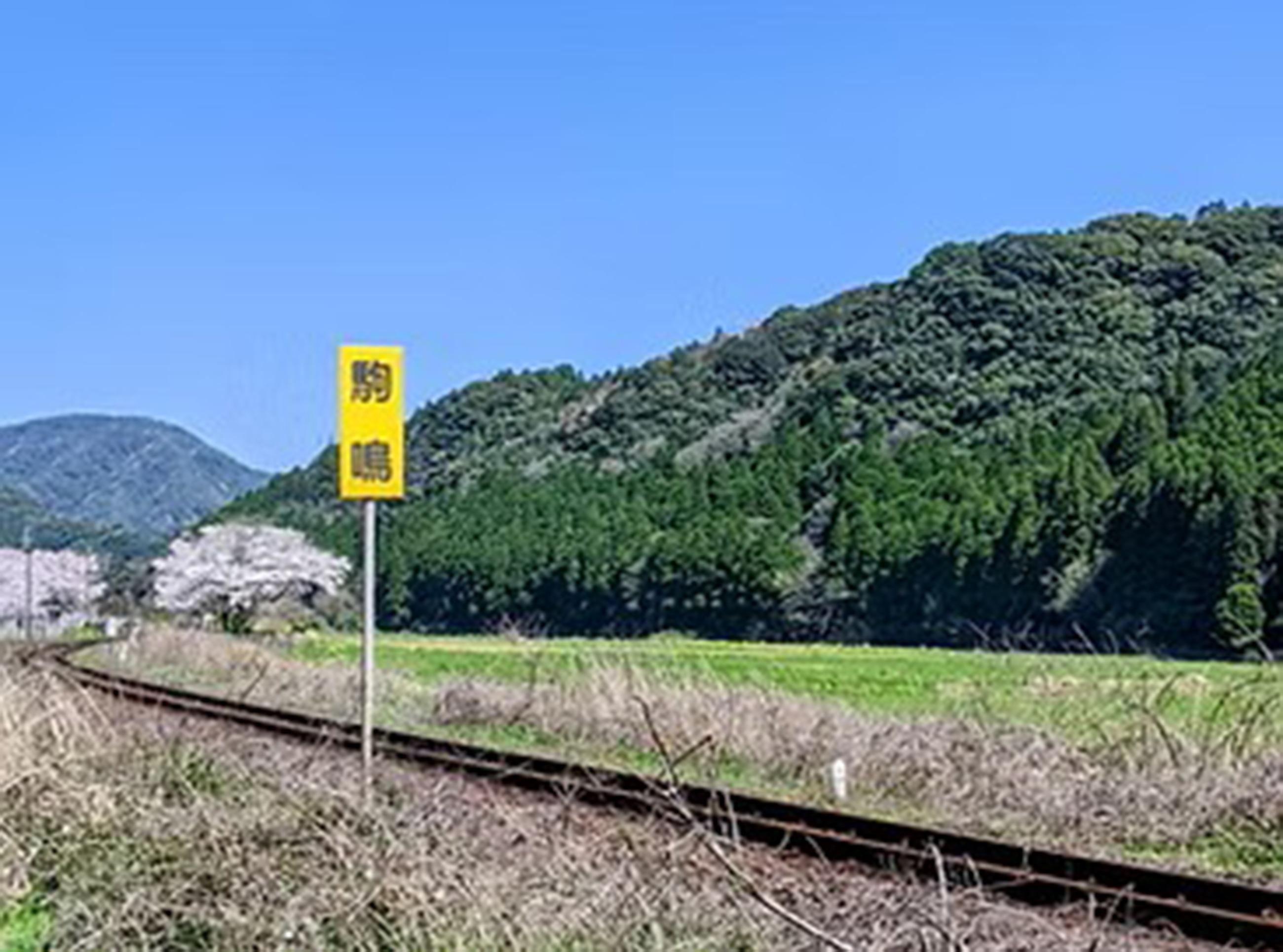 新着物件
