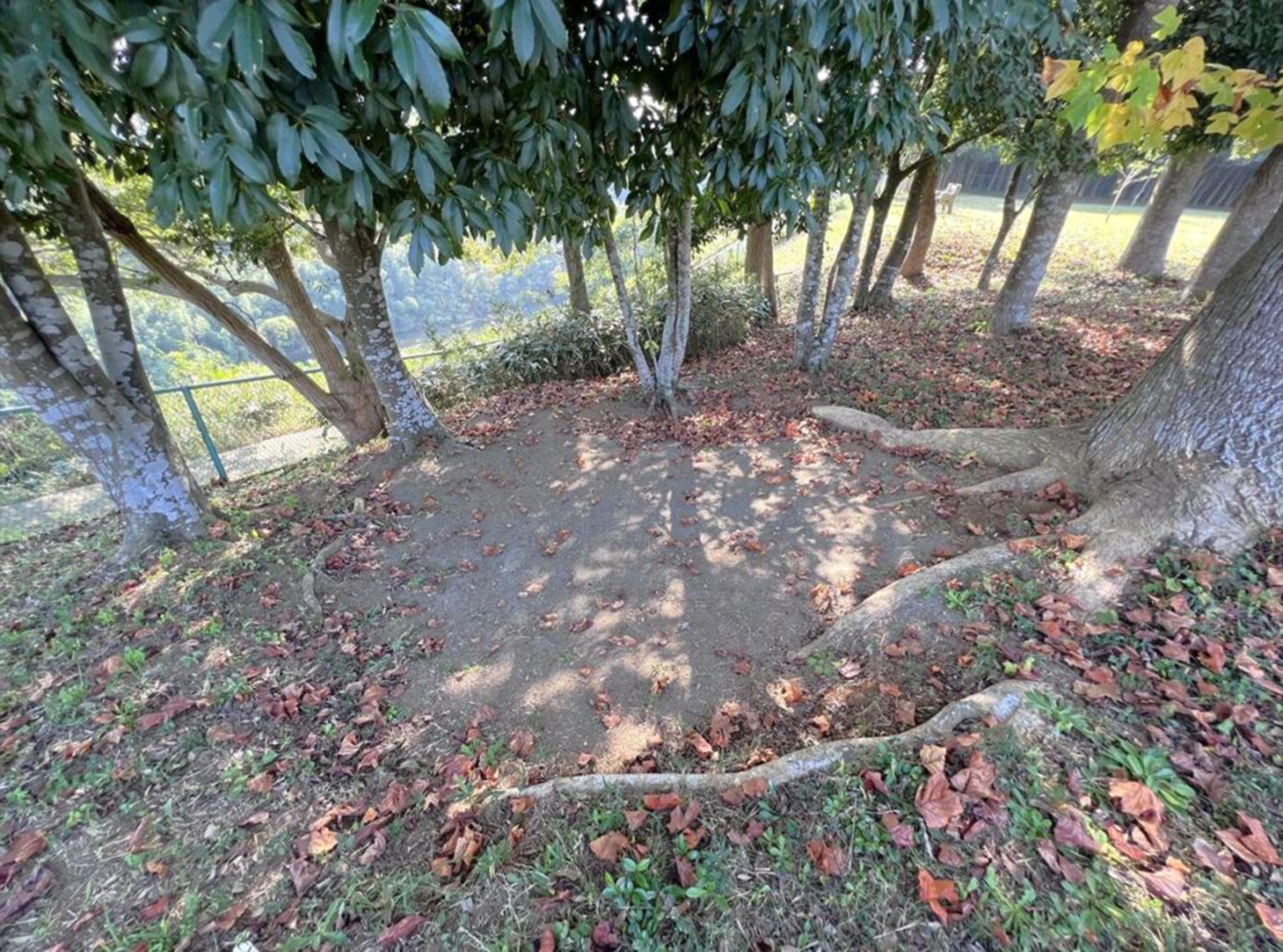 新着物件