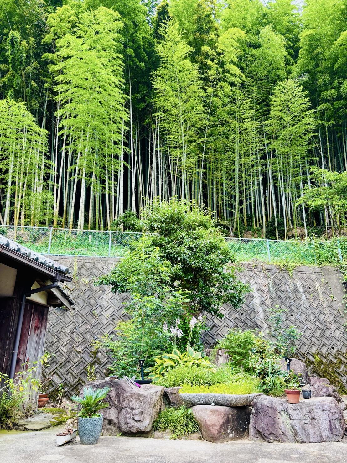 新着物件