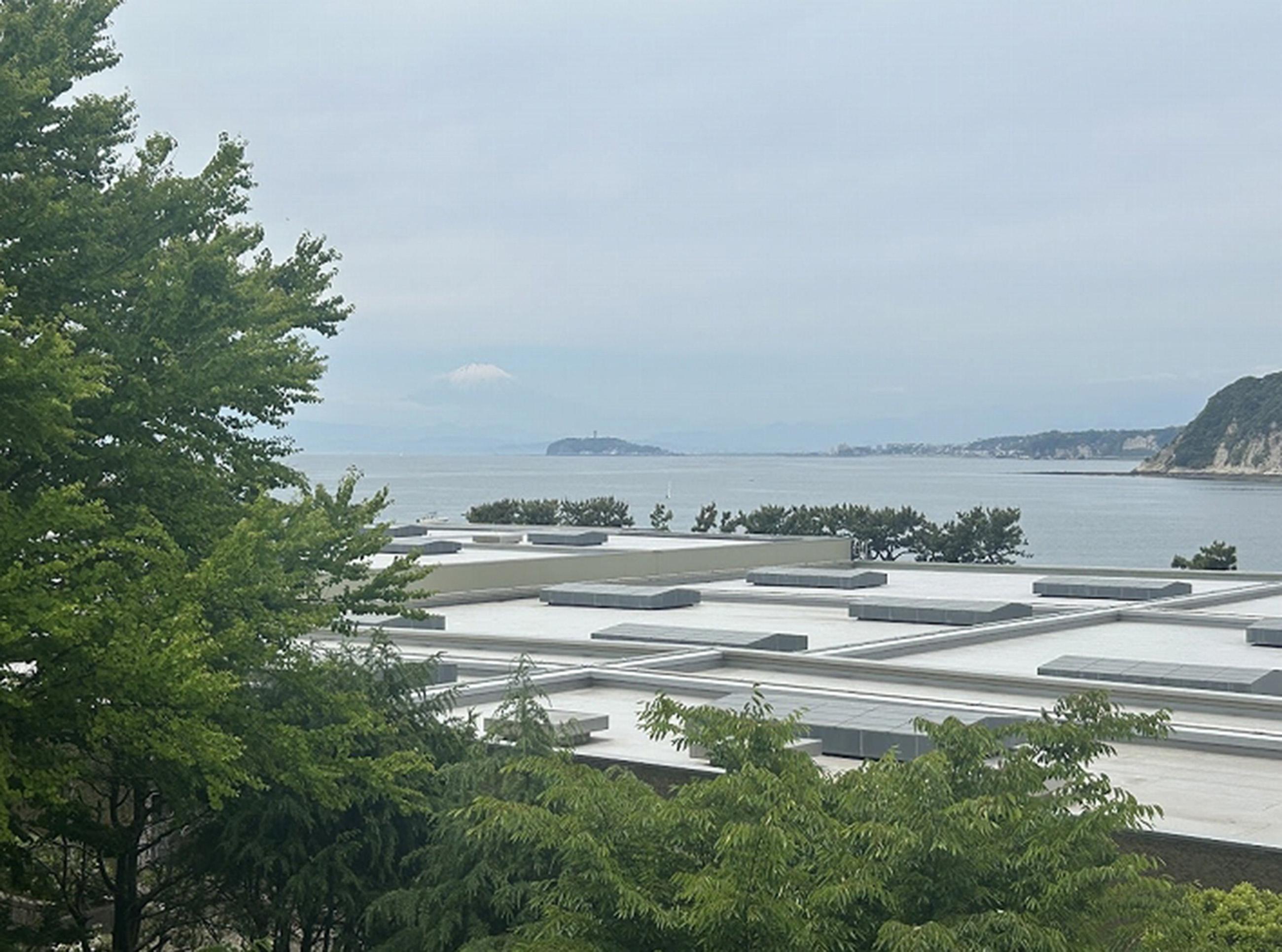 新着物件