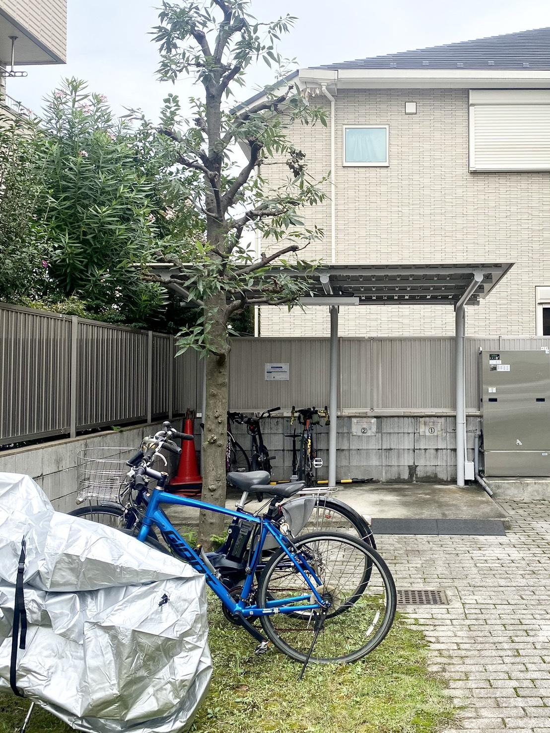 新着物件