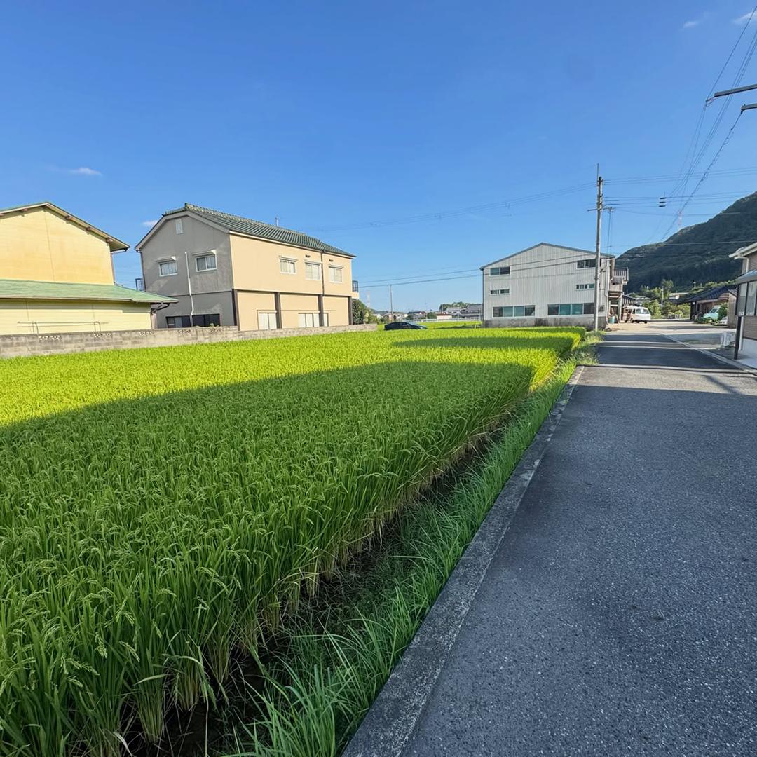 新着物件