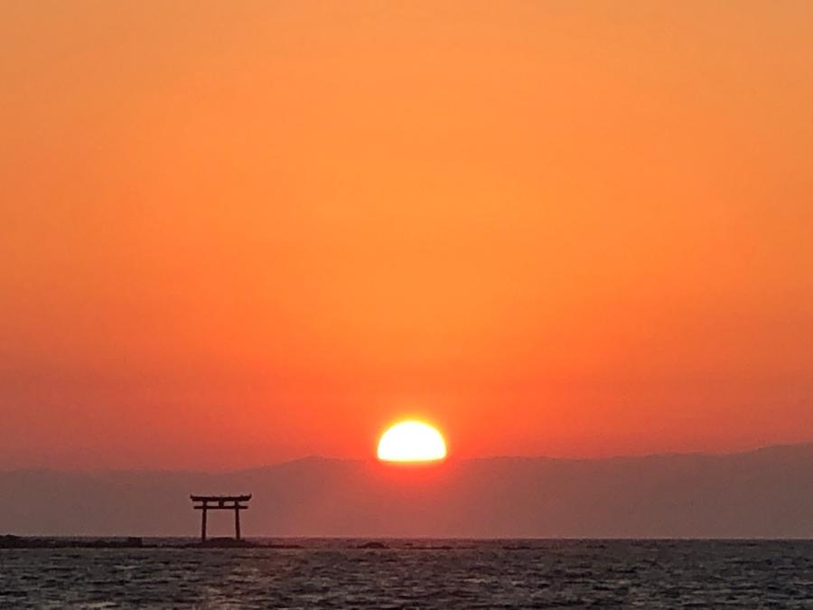 新着物件