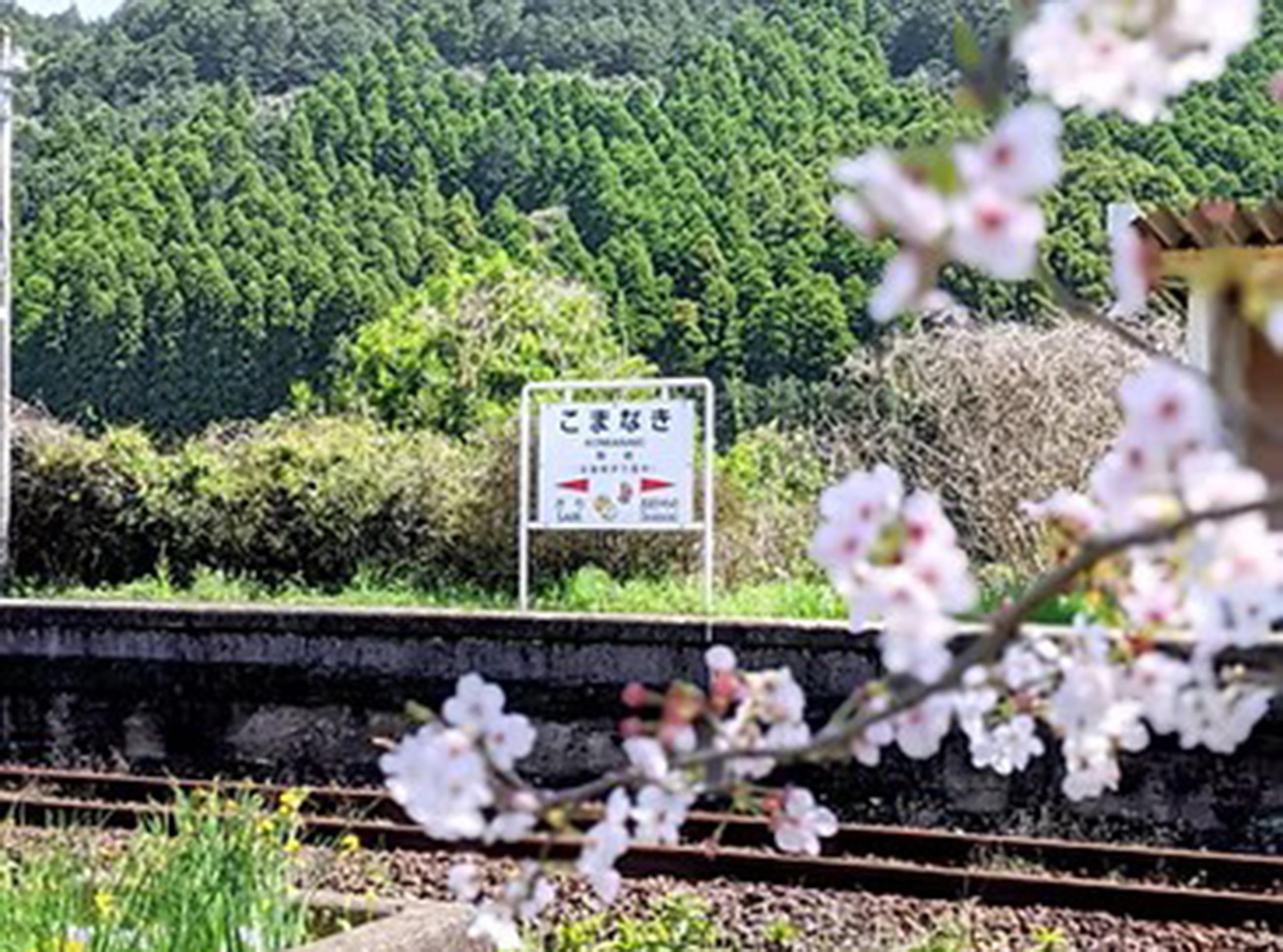 新着物件