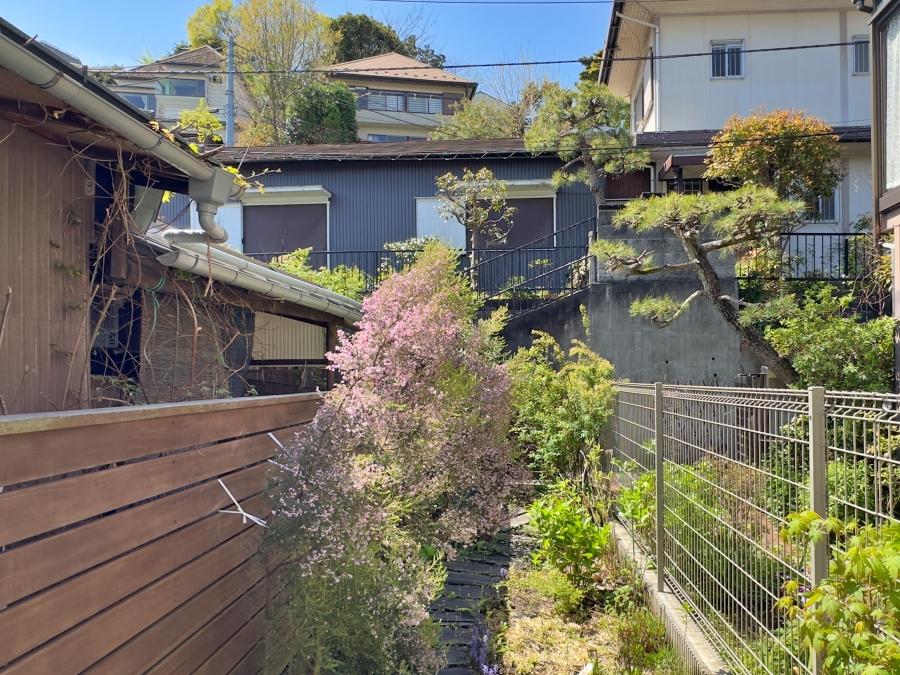 新着物件