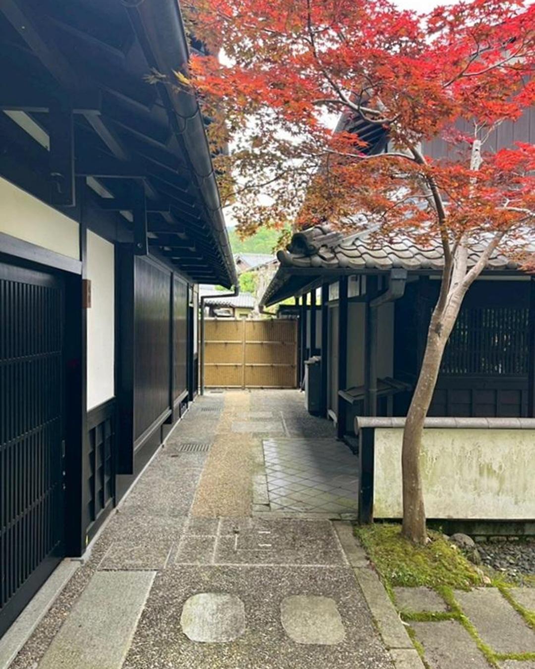新着物件