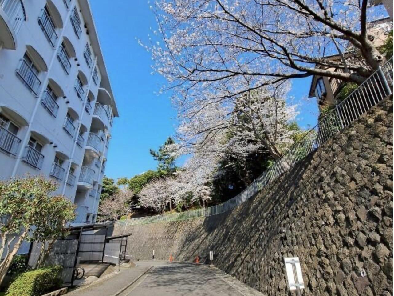 新着物件