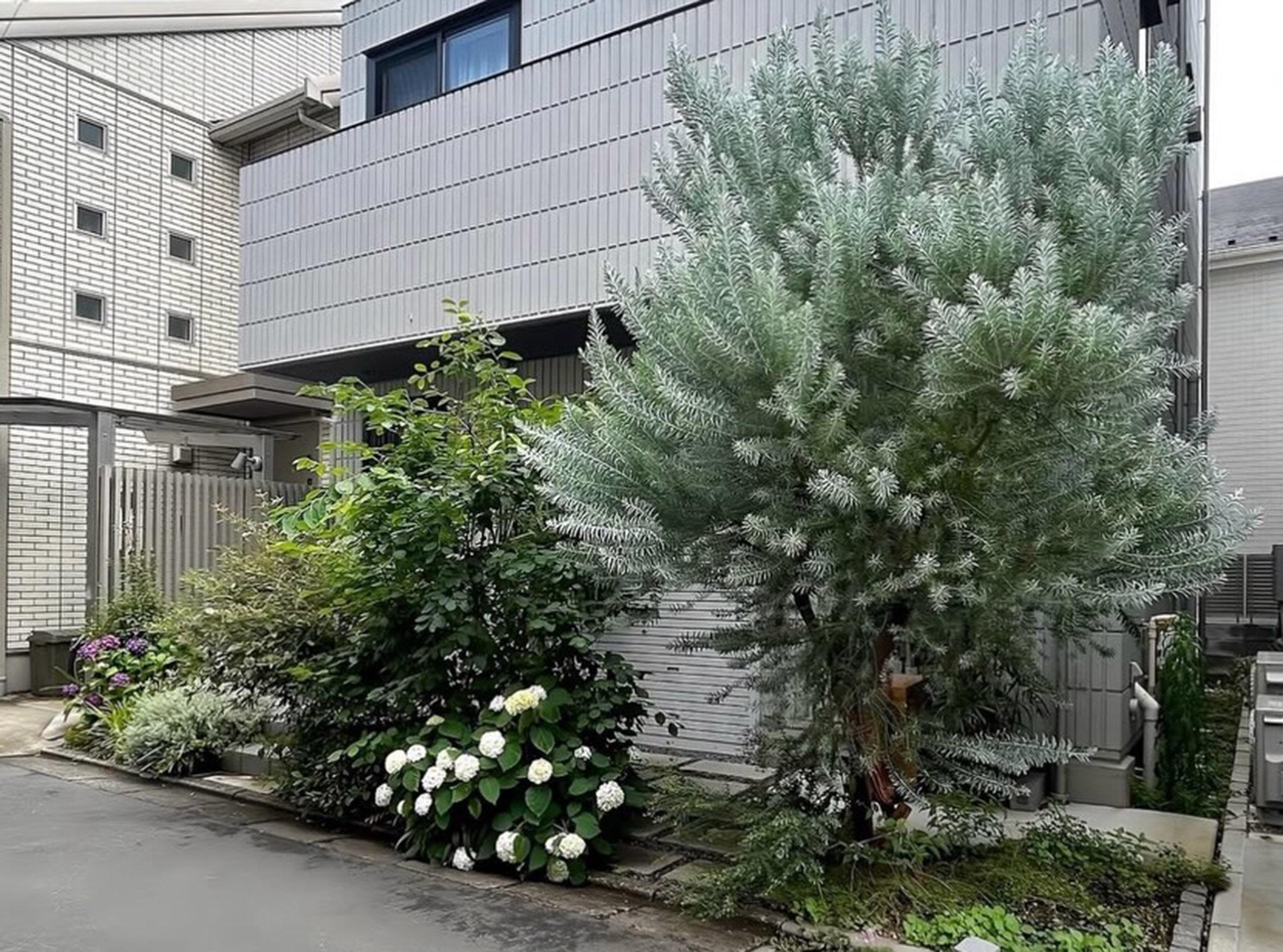 新着物件